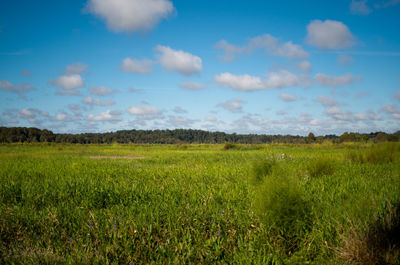 Scenic view of grassy field against cloudy sky