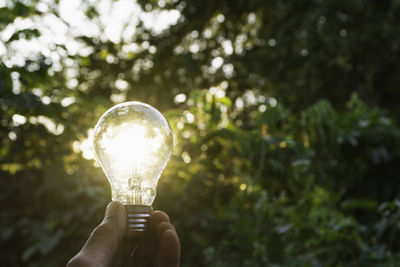 Person holding light bulb