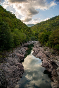Scenic view of river amidst trees against sky