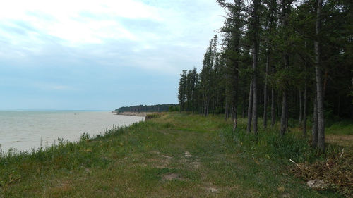Scenic view of sea against sky