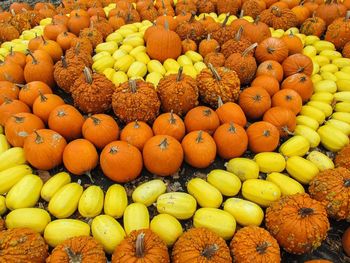 Full frame shot of pumpkins in market