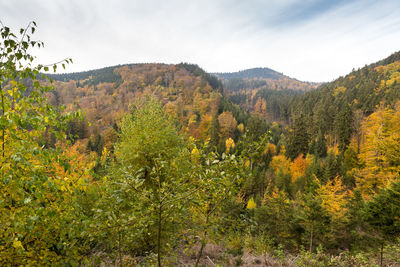 Scenic view of trees and mountains against sky