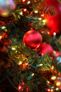 Close-up of illuminated christmas tree