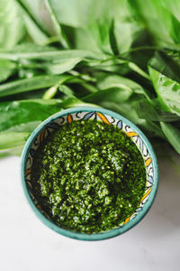 Ramson pesto with ramson green leaves as background
