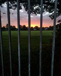 Trees on field against sky at sunset