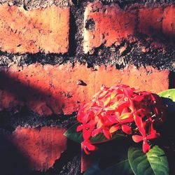 Close-up of weathered wall