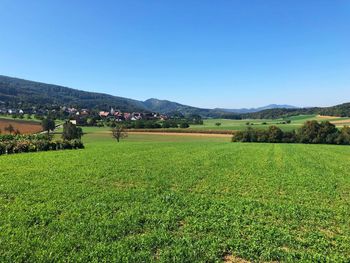 Scenic view of field against clear blue sky