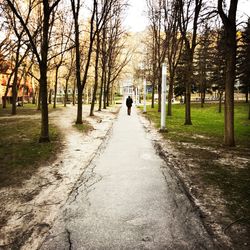 Rear view of person walking on footpath in park