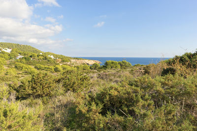 Scenic view of green landscape and sea against sky