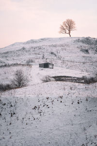 Scenic view of single tree and snow covered land against sky