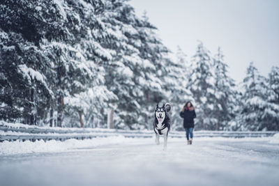 People on snow covered land against sky