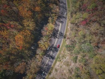 High angle view of road amidst trees during autumn