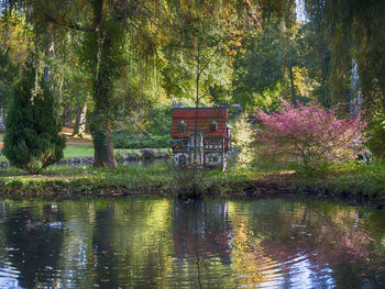 Trees by lake in forest during autumn