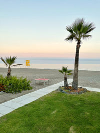 Palm tree by swimming pool against sky during sunset