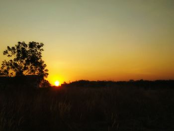 Silhouette trees on field against sky during sunset