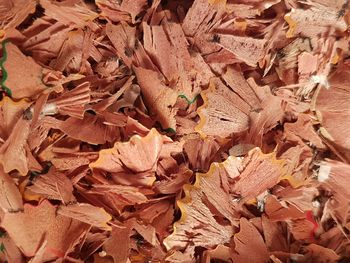 Full frame shot of autumn leaves