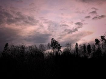 Low angle view of silhouette trees against sky at sunset