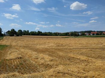 Scenic view of field against sky