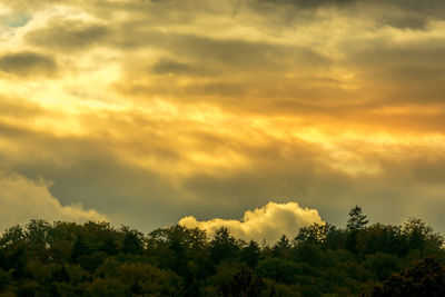 Low angle view of trees against sky during sunset