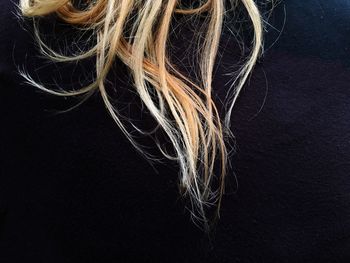 Close-up of blond hair against black background