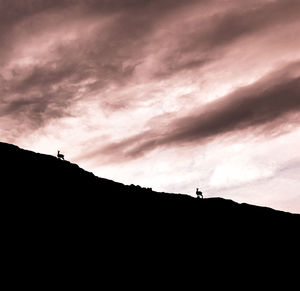 Low angle view of silhouette people on rock against sky