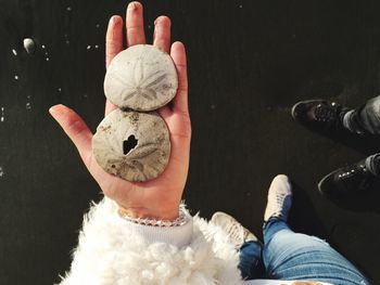 Close-up of a hand holding sand dollars