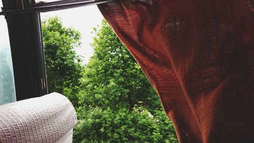 Close-up of curtain against window