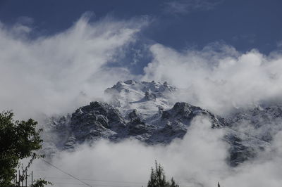 Low angle view of trees on mountain against sky