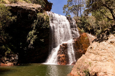 Scenic view of waterfall in forest