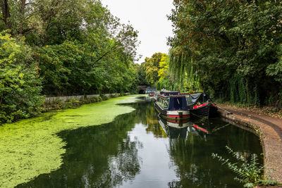 Boats in lake