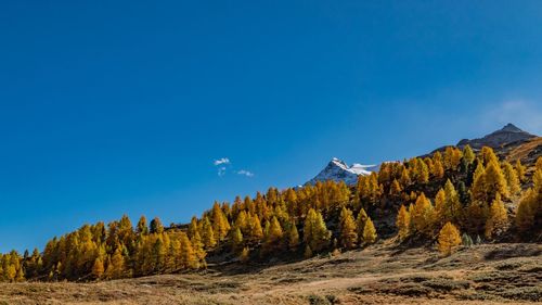 Panoramic view of trees and mountains against blue sky