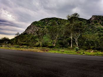 Road by trees against sky