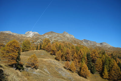 Scenic view of landscape against clear blue sky