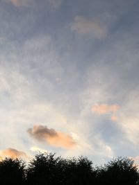 Low angle view of silhouette trees against sky