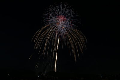 Low angle view of firework display at night