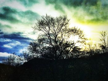 Low angle view of silhouette trees against sky during sunset