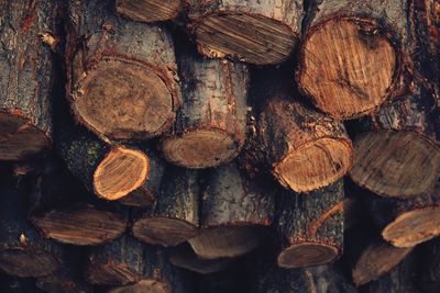 Detail shot of logs in forest