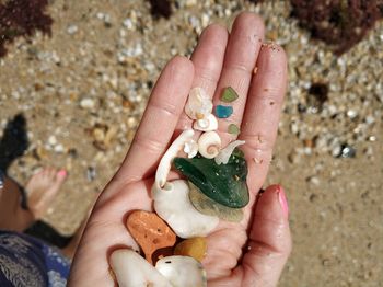 Close-up of woman hand holding shells and pebbles at beach during sunny day