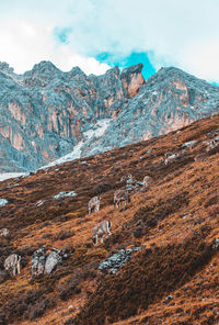 Scenic view of mountain range against sky