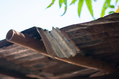 Close-up of old wooden roof