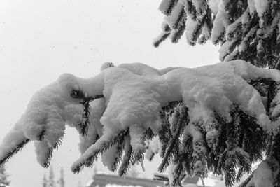 Low angle view of snow on field against sky