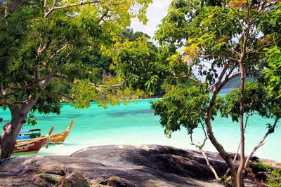 Scenic view of sea against trees