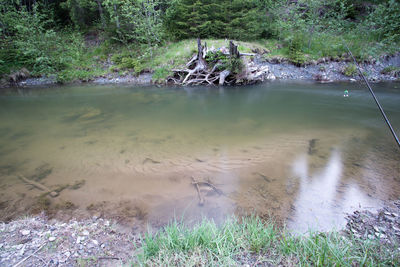 Scenic view of river