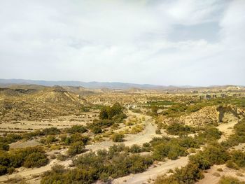 Scenic view of landscape against sky