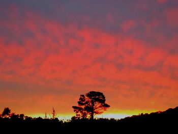 Silhouette trees on landscape against orange sky