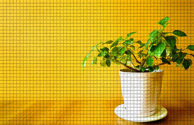 Close-up of plant against tiled wall