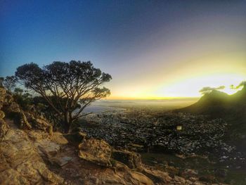 Trees against sky during sunset
