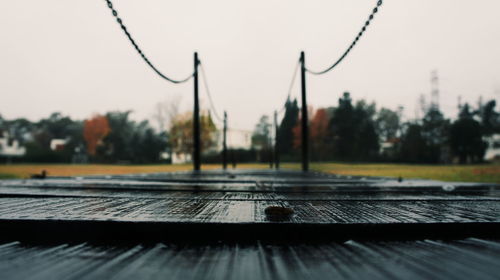 Close-up of wet tree against sky