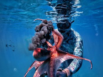 Underwater fight between a diver and an octopus