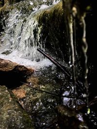 Scenic view of waterfall